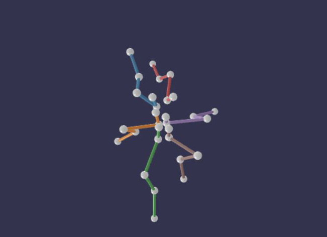 Anipose study of walking fly leg positions