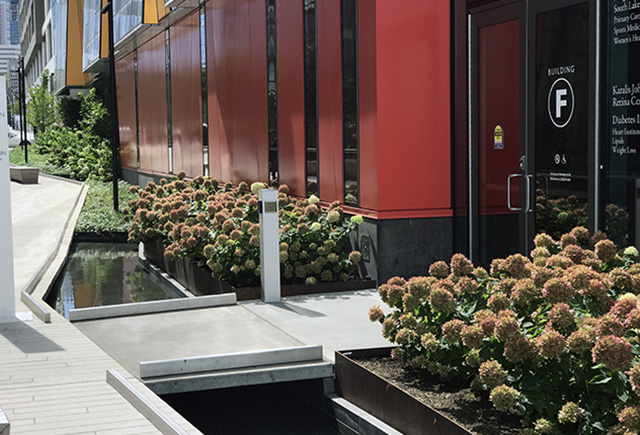 diabetes institute entry