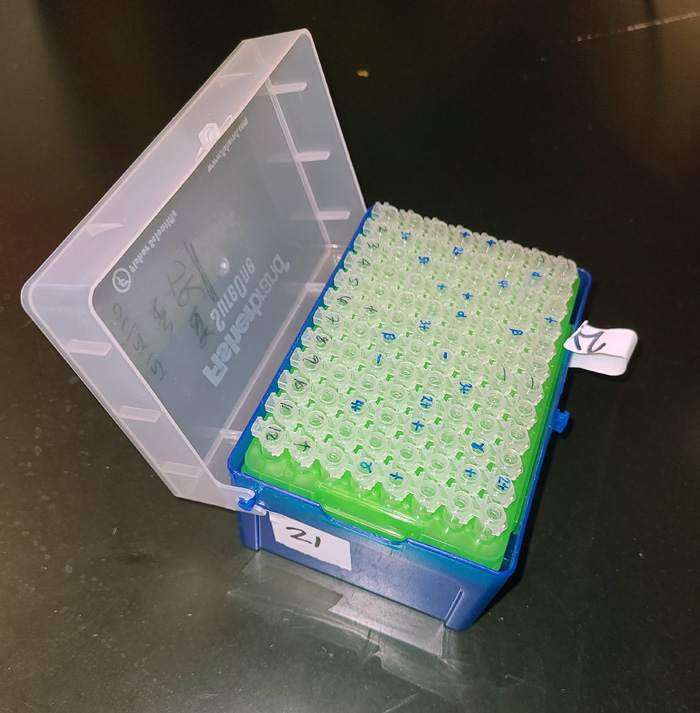 rack of tubes with COVID-19 test samples