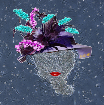 illustration of a colony of human embryonic stem cells, dressed up with computer-designed proteins to alter a stem cell’s fate.