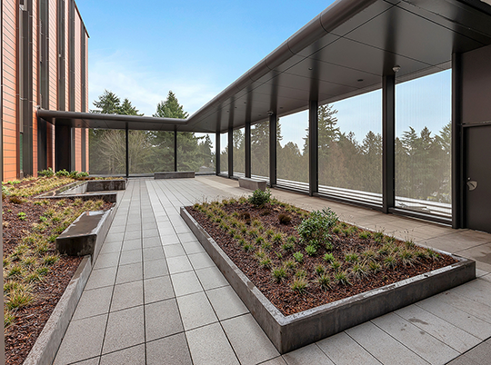 picture of terrace garden at Center for Behavioral Health and Training