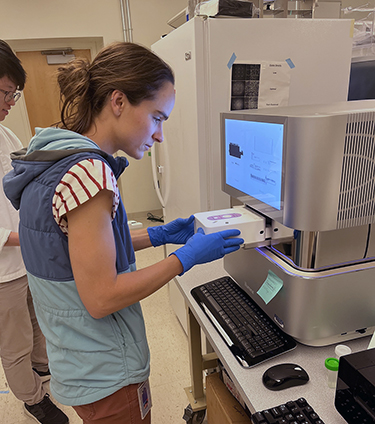 Kathleen Abadie conducts immune cell research