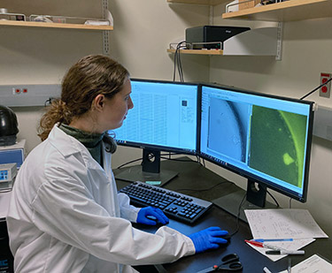 Elisa Clark analyzes data studies of immune blood cells