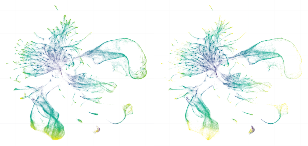 representation of single cell RNA sequencing data from the worms C. elegans and C. briggsae