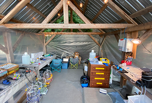 picture of the beachside lab that Brook Nunn's team used for field work
