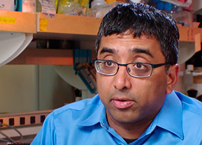 picture of Jay Shendure, UW Medicine genome scientist