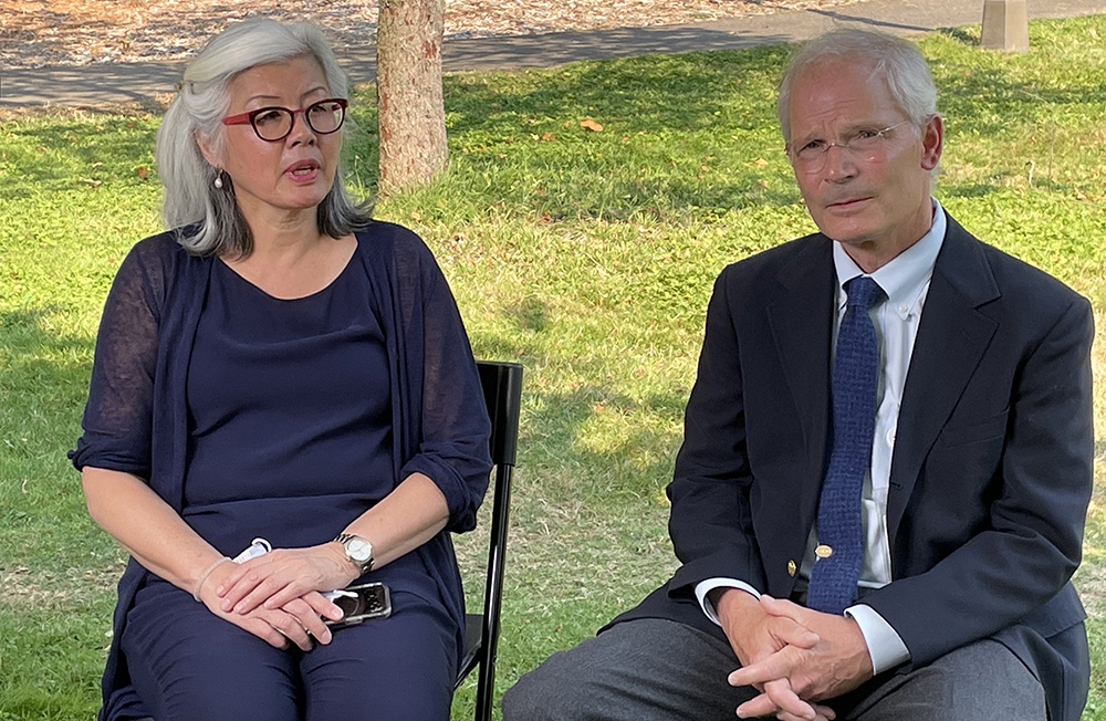 Cheng and Waldhausen