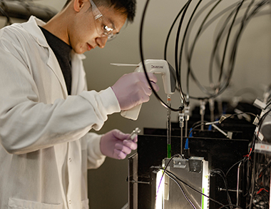 picture of Jason Dang, scientist at Lumen Bioscience