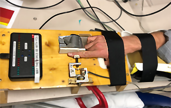 picture of finger-push exercise in urolithin A study