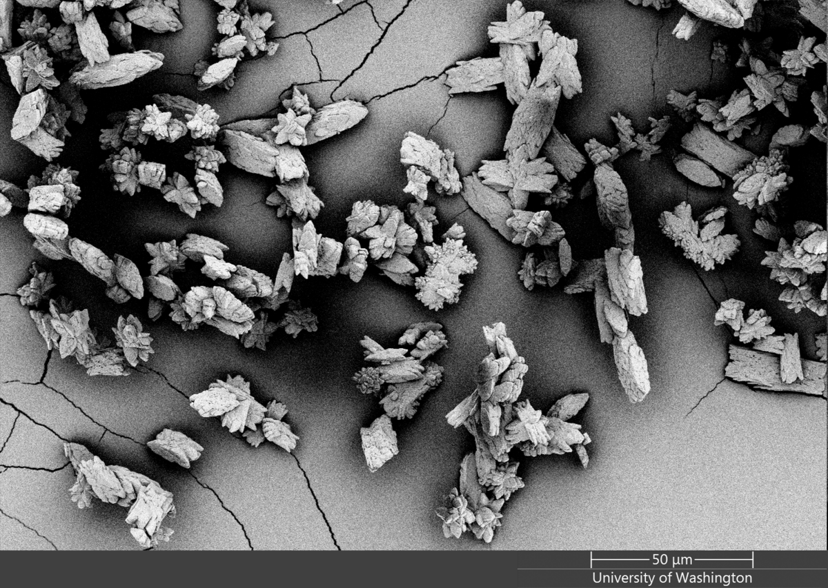microcrystals for kidney stone formation
