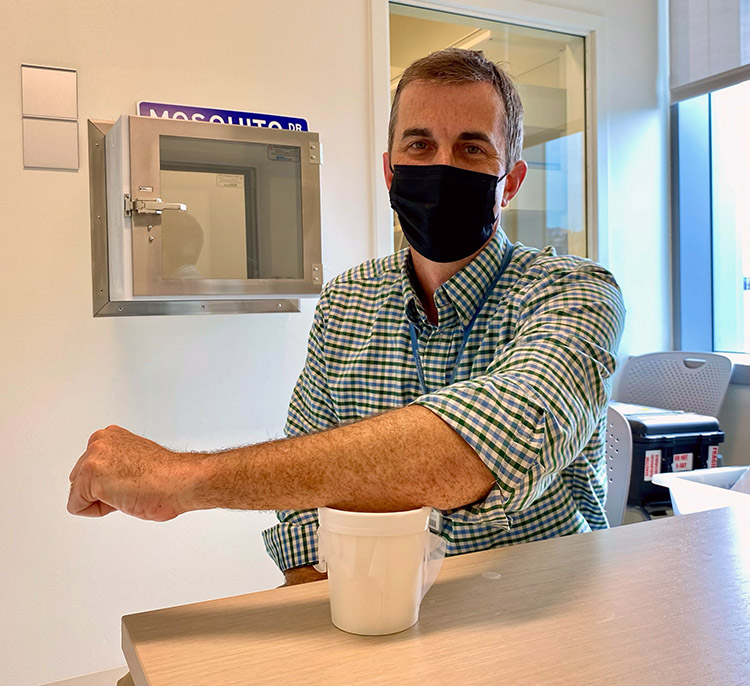 Sean Murphy mosquito lab