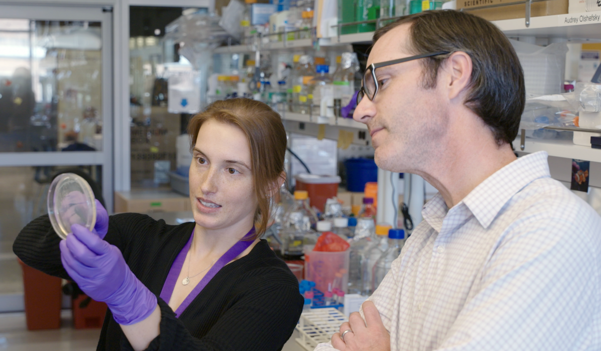 Neil King Lab Institute for Protein Design