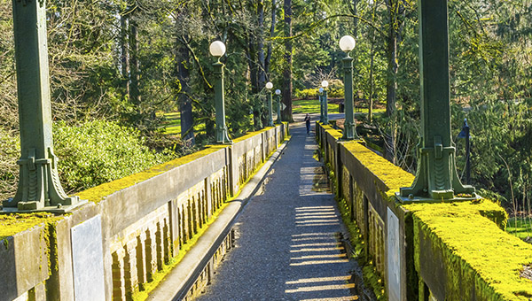 Newton St. Bridge Seattle Aboretum