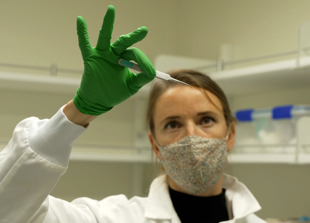 Rebekah Reynolds, a research scientist at the Murphy Lab, examines a mosquito specimen.