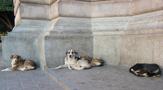 Media Name: 16481119490_235a70e00b_z.jpg