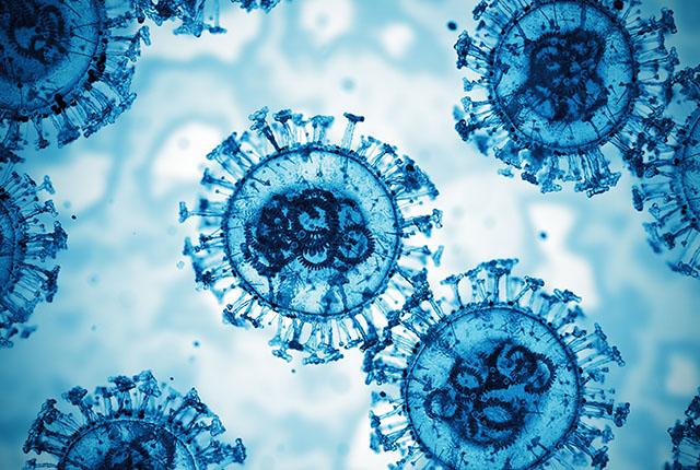 A microscope slide photo of the XBB.1.5 COVID-19 variant.