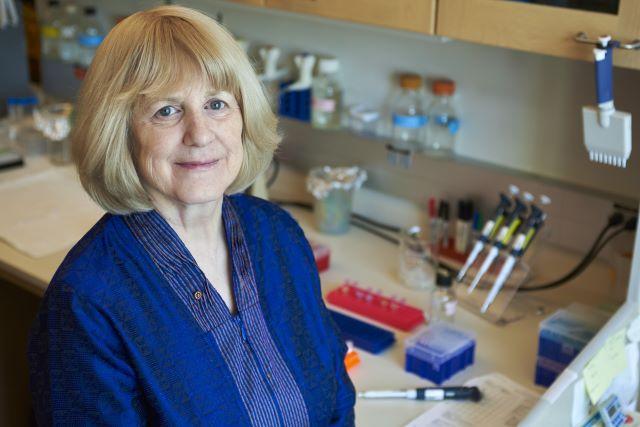 Mary-Claire King in her UW Medicine medical genetics lab.