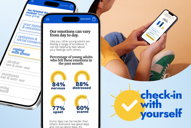 collage of images showing the "Check In with Yourself" website user interface