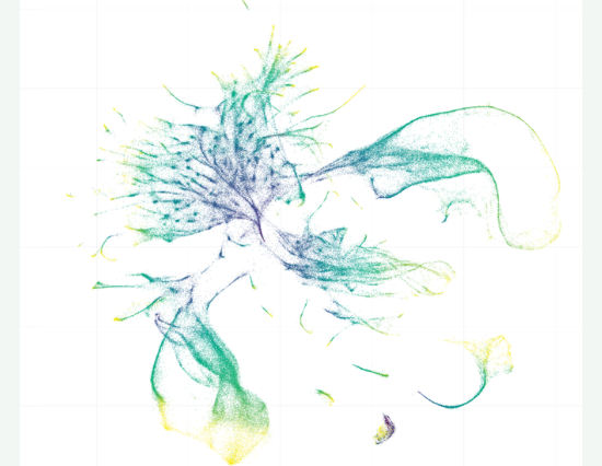Representation of gene expression in a roundworm
