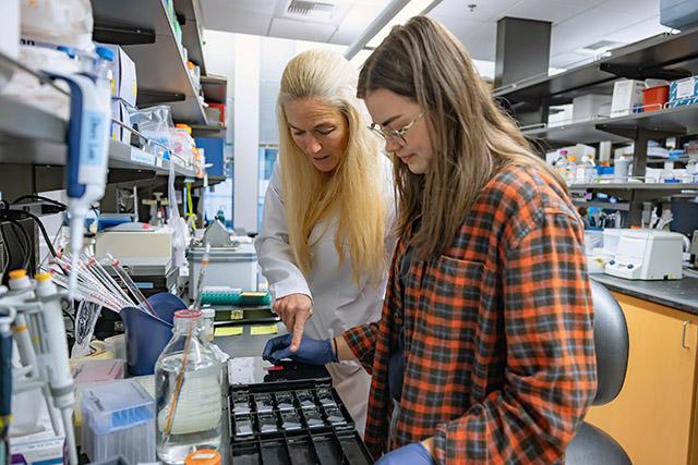 Jen Davis and Bella Reichardt in a genetic engineering for cardiac fibroblast lab