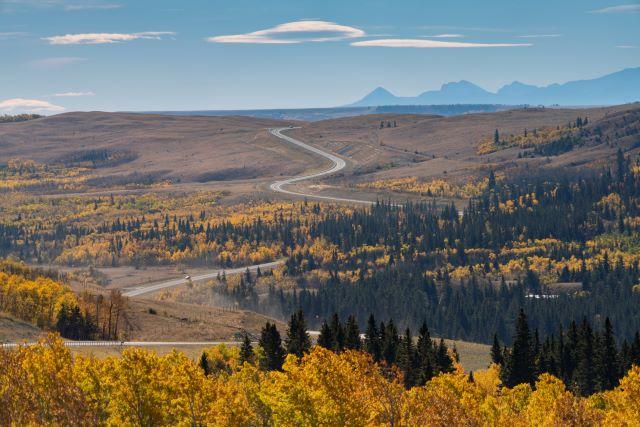 Long winding rural road in the Northwest