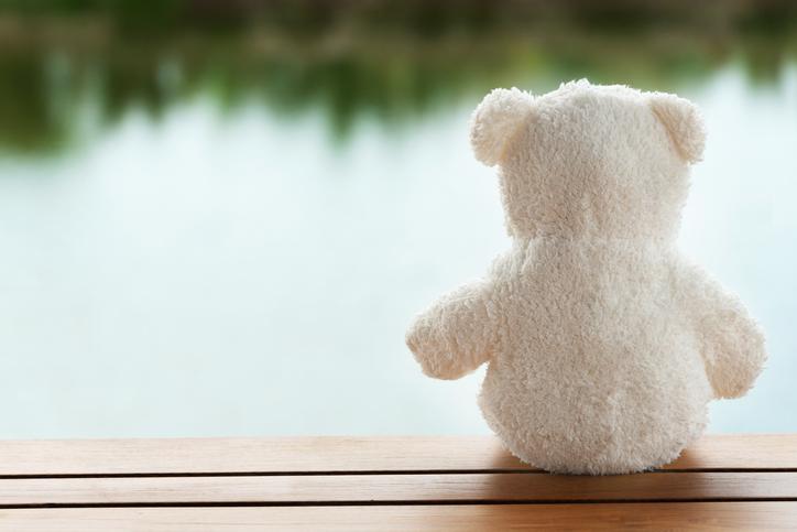 Lonely teddy bear facing the water