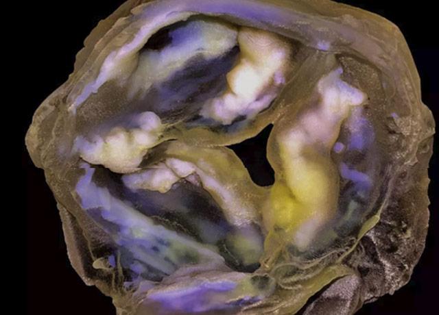 Media Name: 3d_valve.jpg