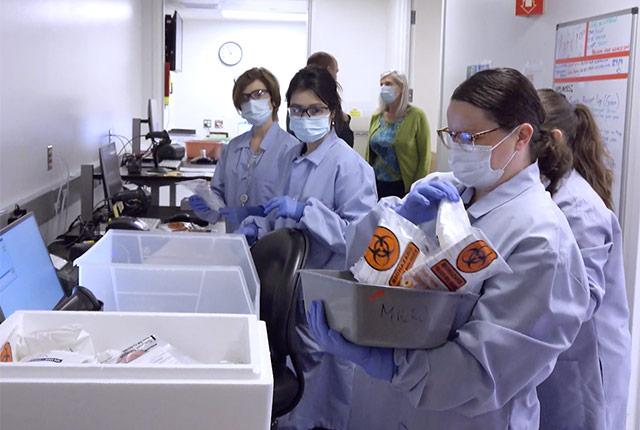 Media Name: antibodytesting-x.jpg