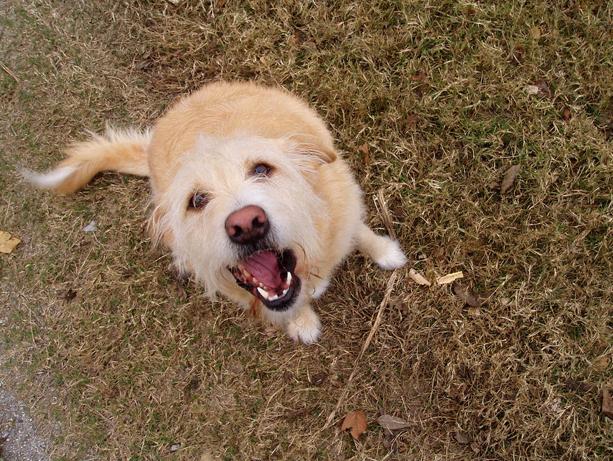 Media Name: blogphoto-petalarm.jpg