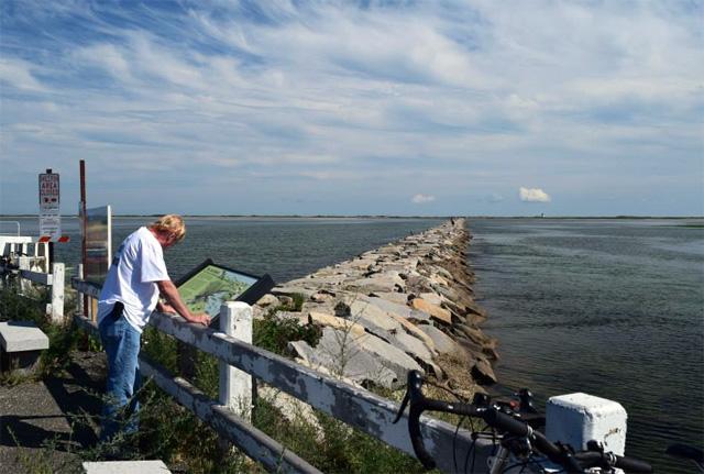 Media Name: cape_cod_closed_shelfish_area_2.jpg
