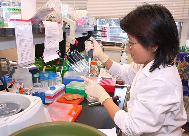 Media Name: dentistry_research.jpg