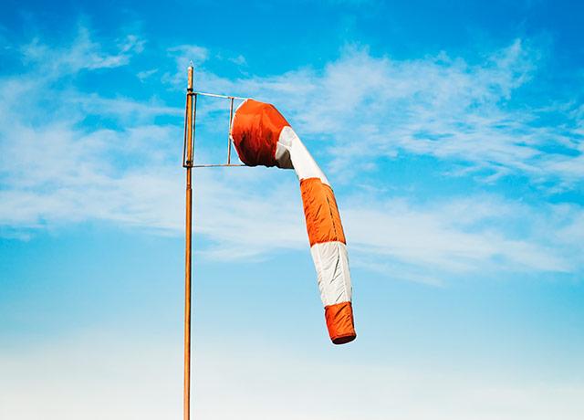 Media Name: ed-windsock.jpg