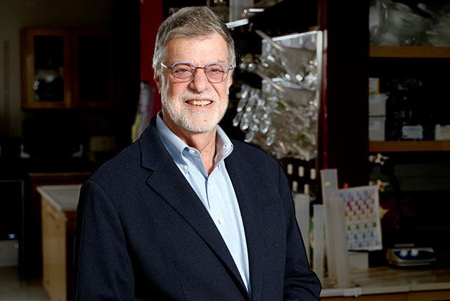 Media Name: greenburg_gairdner_3_cropped.jpg