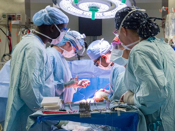 Media Name: heart-tx.jpg