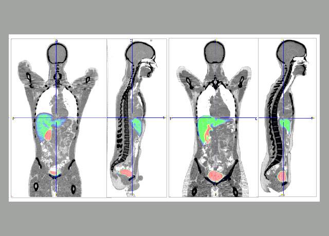 Media Name: hero-scans.jpg