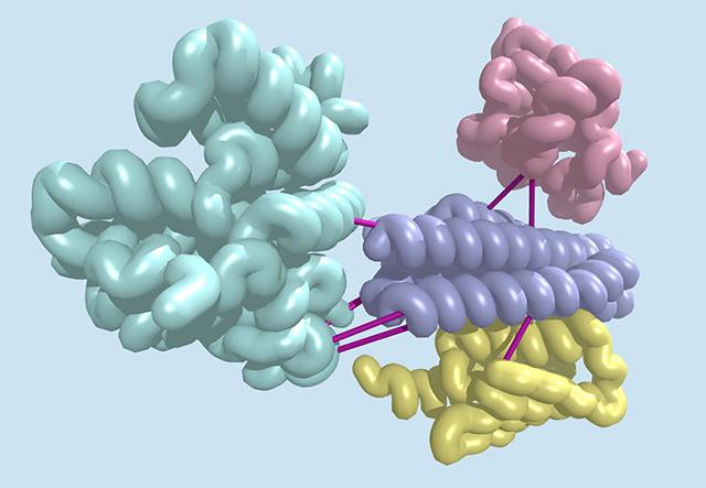 Media Name: ipd_co-evolution-hub_2_crop.jpg