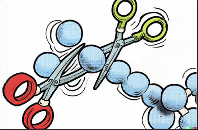 Media Name: ipd_snip.png