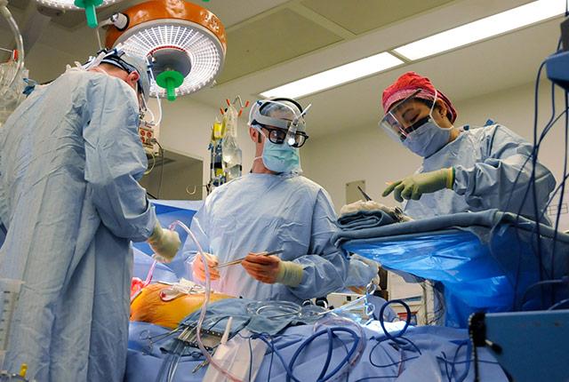 Media Name: mulligan_tx_surgery.jpg