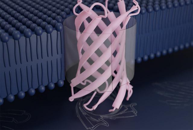 Media Name: pore_protein_image_science_feb_19_2021_.jpg