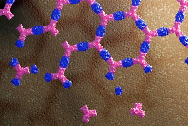 Media Name: protein-array_baker_lab_nature_cropped_-on-cell-surface.jpg