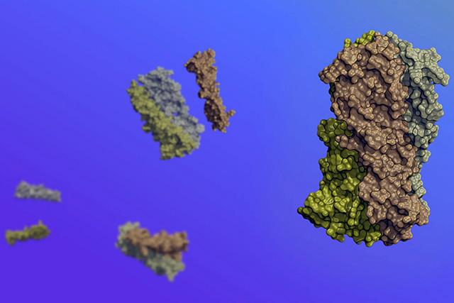 Media Name: protein_design_move_ipd_phbundle_v5.jpg